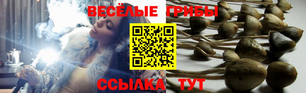 Зерноград  Галлюциногенные грибы мухоморы  где найти наркотики  Вход с VPN 